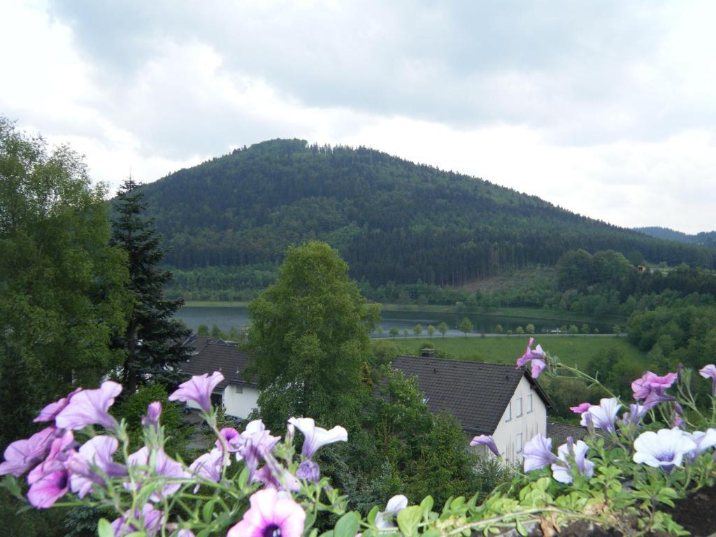 Apartment Schoenblick Winterberg Dış mekan fotoğraf