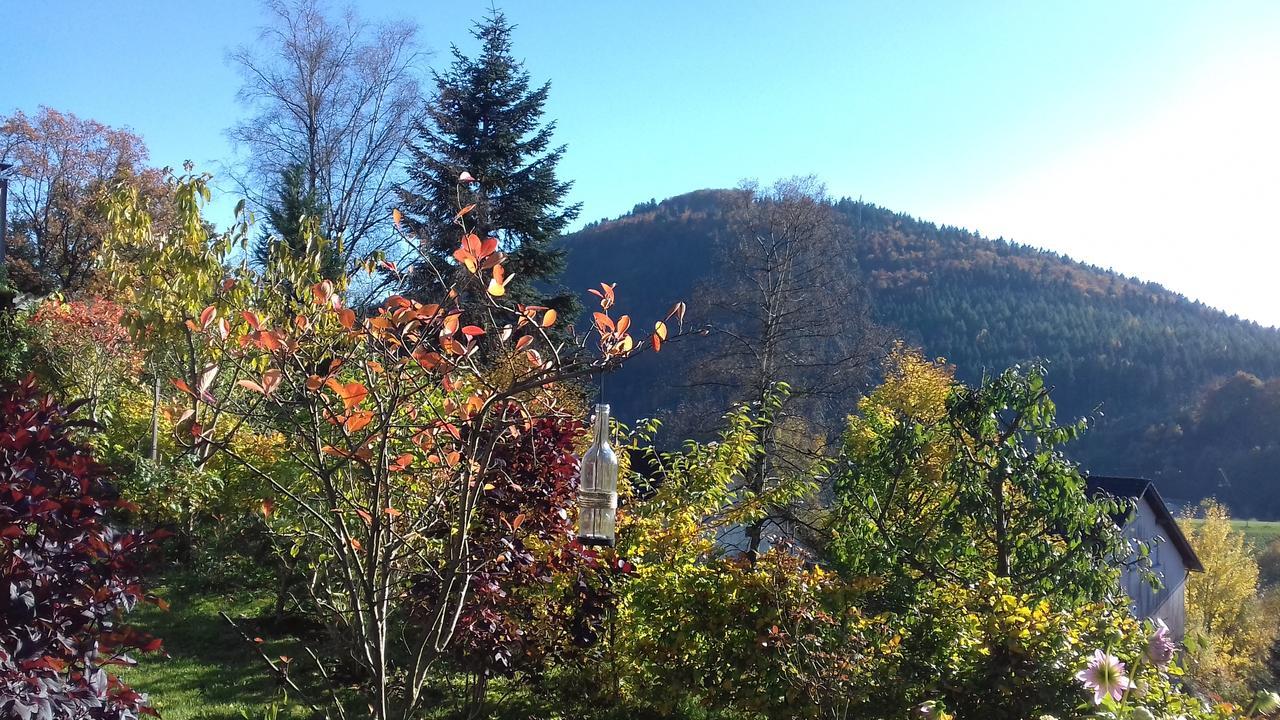 Apartment Schoenblick Winterberg Dış mekan fotoğraf