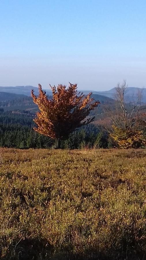 Apartment Schoenblick Winterberg Dış mekan fotoğraf